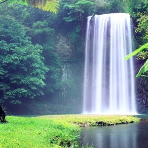 Channel Your Inner Relax & Recover with A Tropical Waterfall Video from Intra Forged